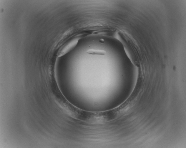 X0000077340260200610201306