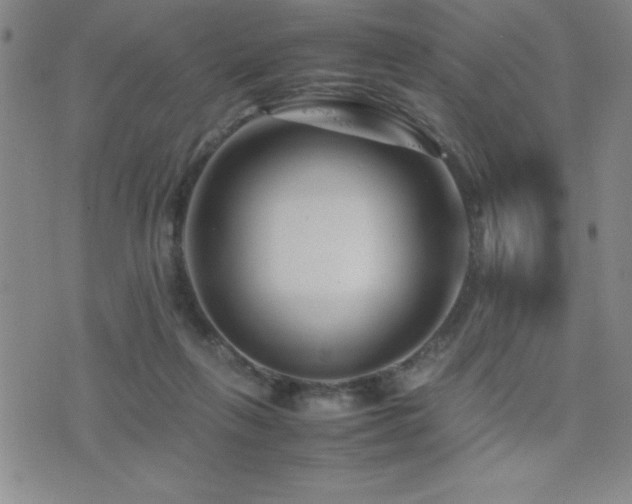 X0000077340263200610201306