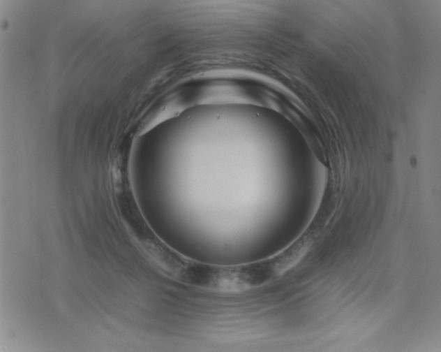 X0000077340264200610201306