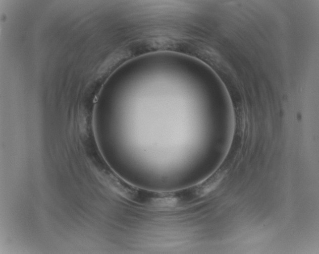 X0000077340266200610201306