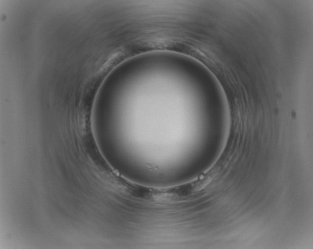 X0000077340268200610201307