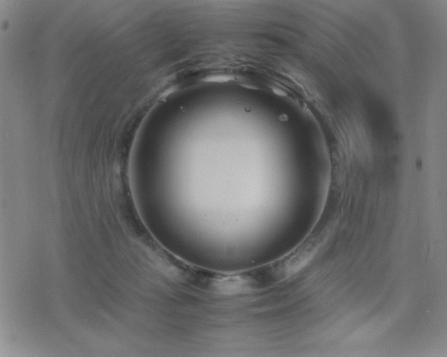 X0000077340269200610201307
