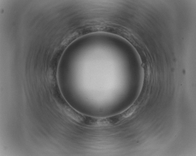 X0000077340270200610201307