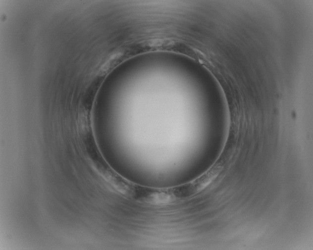 X0000077340272200610201307