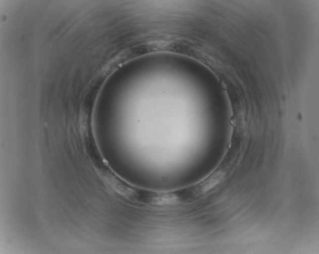 X0000077340274200610201307
