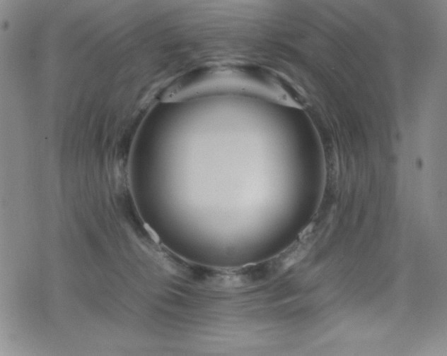 X0000077340276200610201307