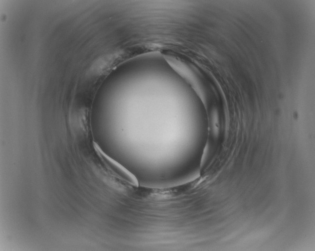 X0000077340280200610201307