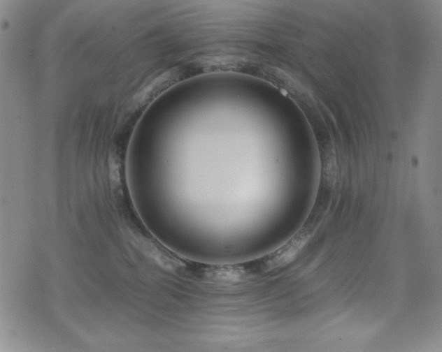 X0000077340282200610201307