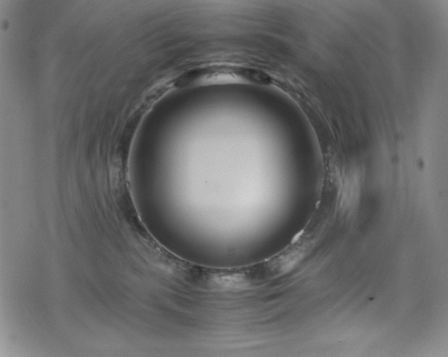 X0000077340283200610201307