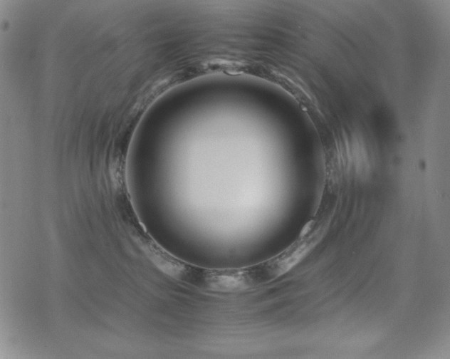 X0000077340285200610201307