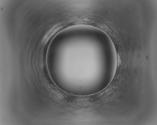 X0000077340291200610201306