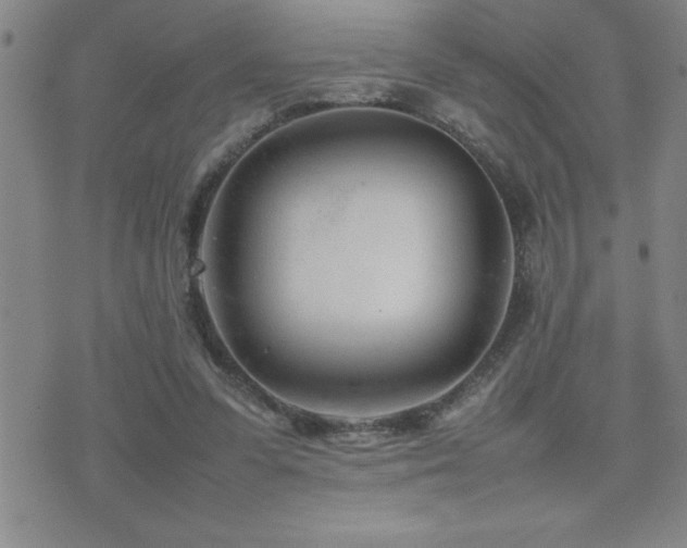 X0000077340303200610201306