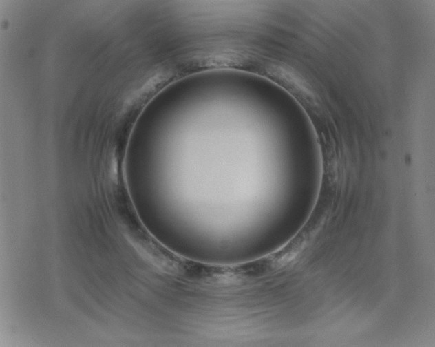 X0000077340310200610201306