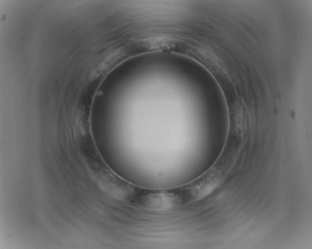 X0000077340316200610201306
