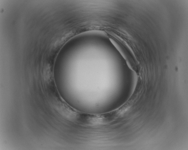X0000077340318200610201306