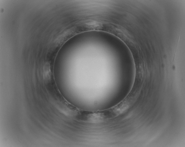 X0000077340320200610201306