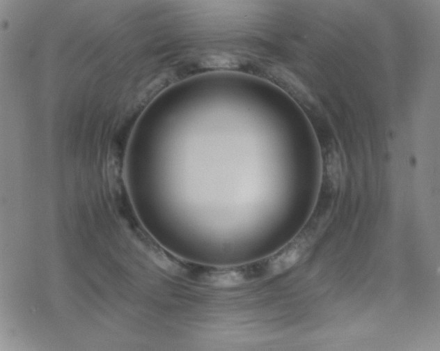 X0000077340322200610201305