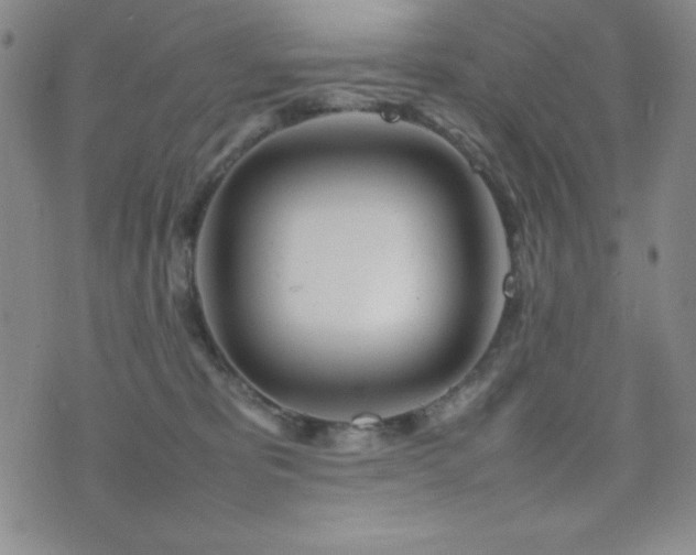 X0000077340325200610201305