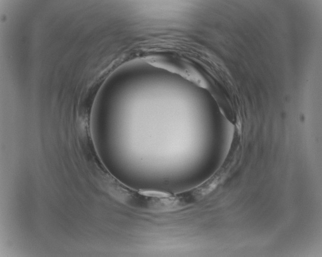 X0000077340329200610201305