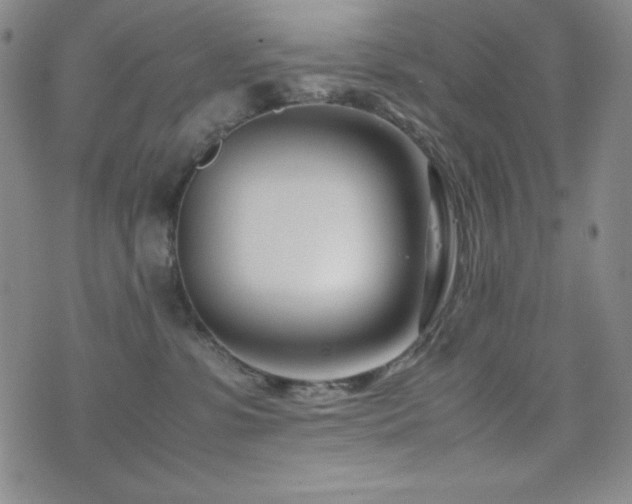 X0000077340331200610201305