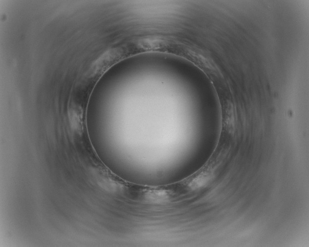 X0000077340332200610201305