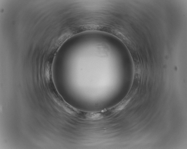 X0000077340334200610201305