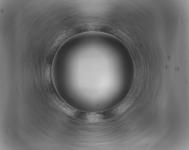 X0000077340336200610201305