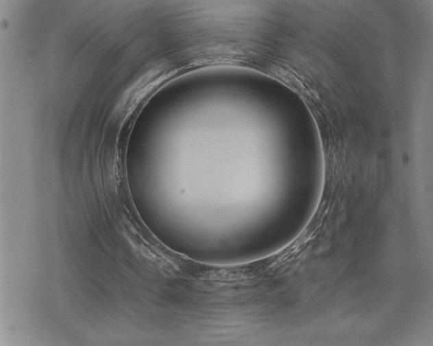 X0000077340338200610201304
