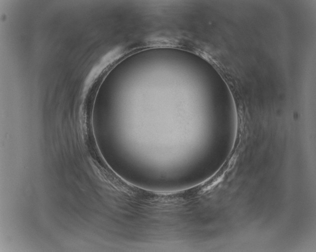 X0000077340343200610201305