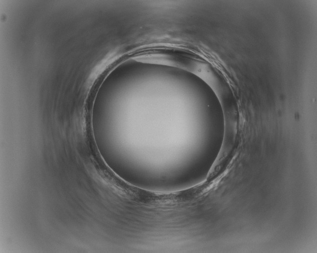 X0000077340344200610201305