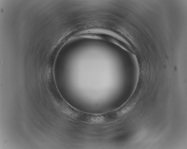 X0000077340355200610201305
