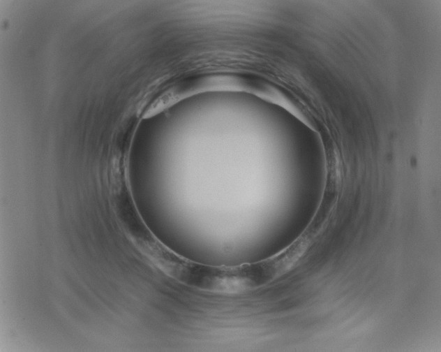 X0000077340360200610201305