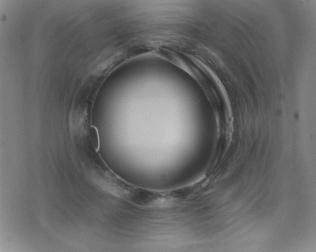 X0000077340364200610201305