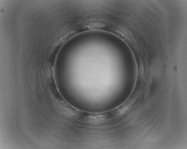X0000077340367200610201305