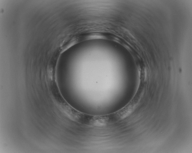 X0000077340368200610201305