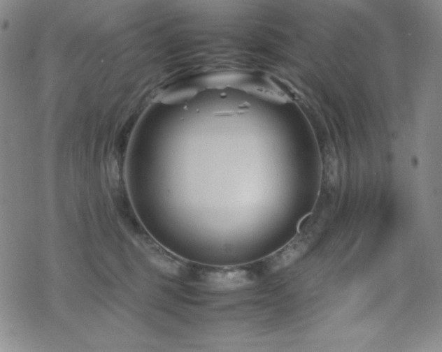 X0000077340375200610201305
