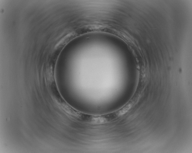 X0000077340376200610201305