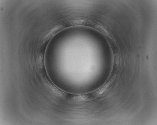 X0000077340378200610201305