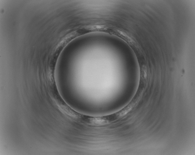 X0000077340380200610201305