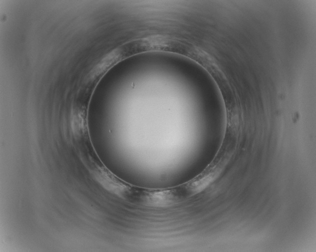 X0000077340382200610201305