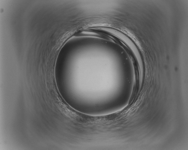 X0000077340385200610201304