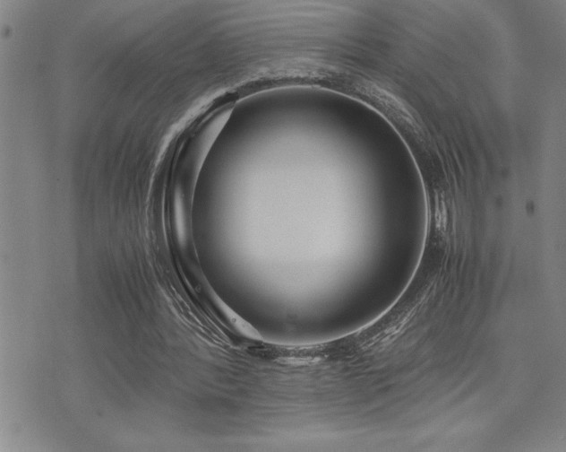 X0000077340388200610201304