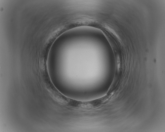 X0000077340403200610201304