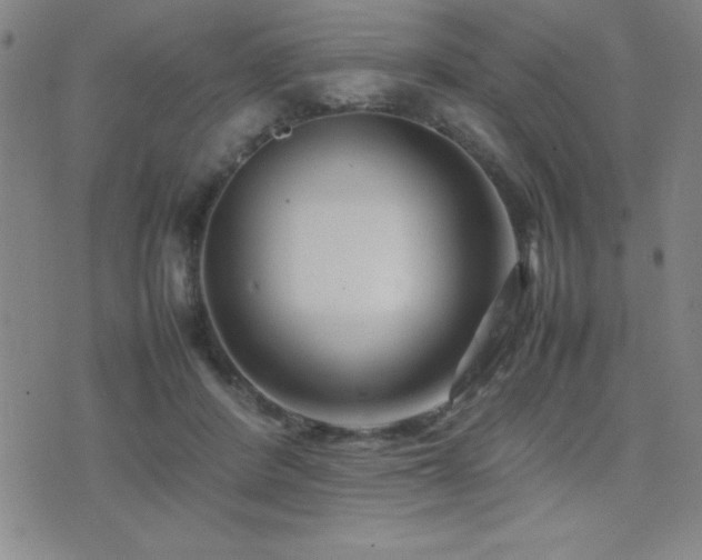 X0000077340408200610201304