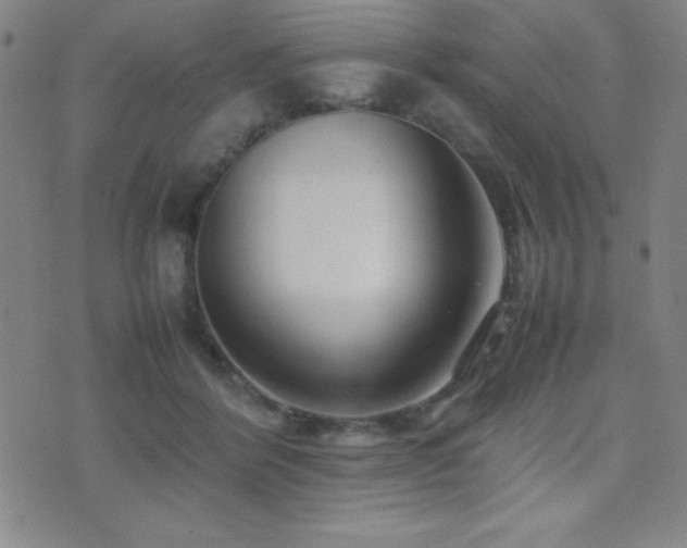 X0000077340412200610201304