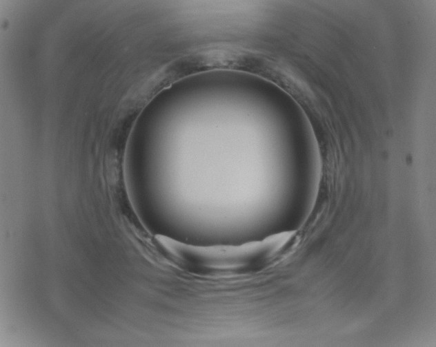 X0000077340413200610201304