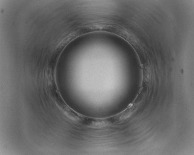 X0000077340414200610201304