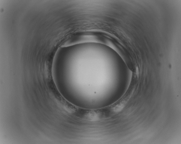 X0000077340416200610201304