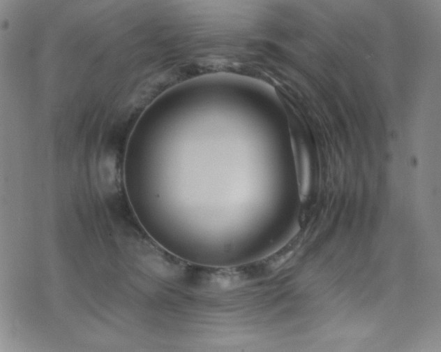 X0000077340420200610201304
