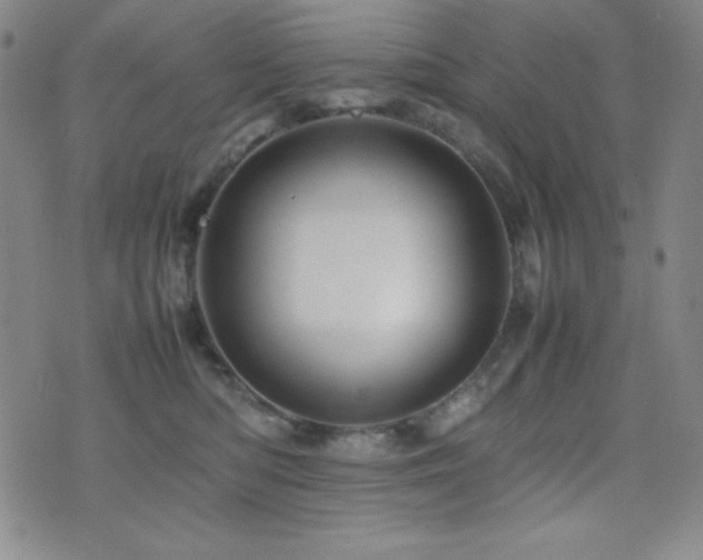 X0000077340422200610201304